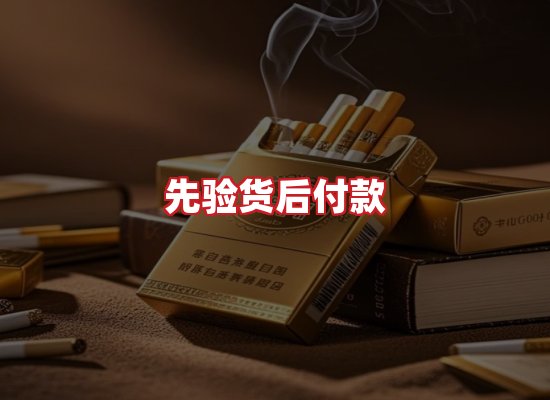 专业团队